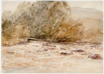 A Mountainous Stream